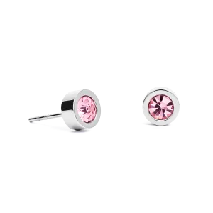 Earrings Crystal & stainless steel silver rose