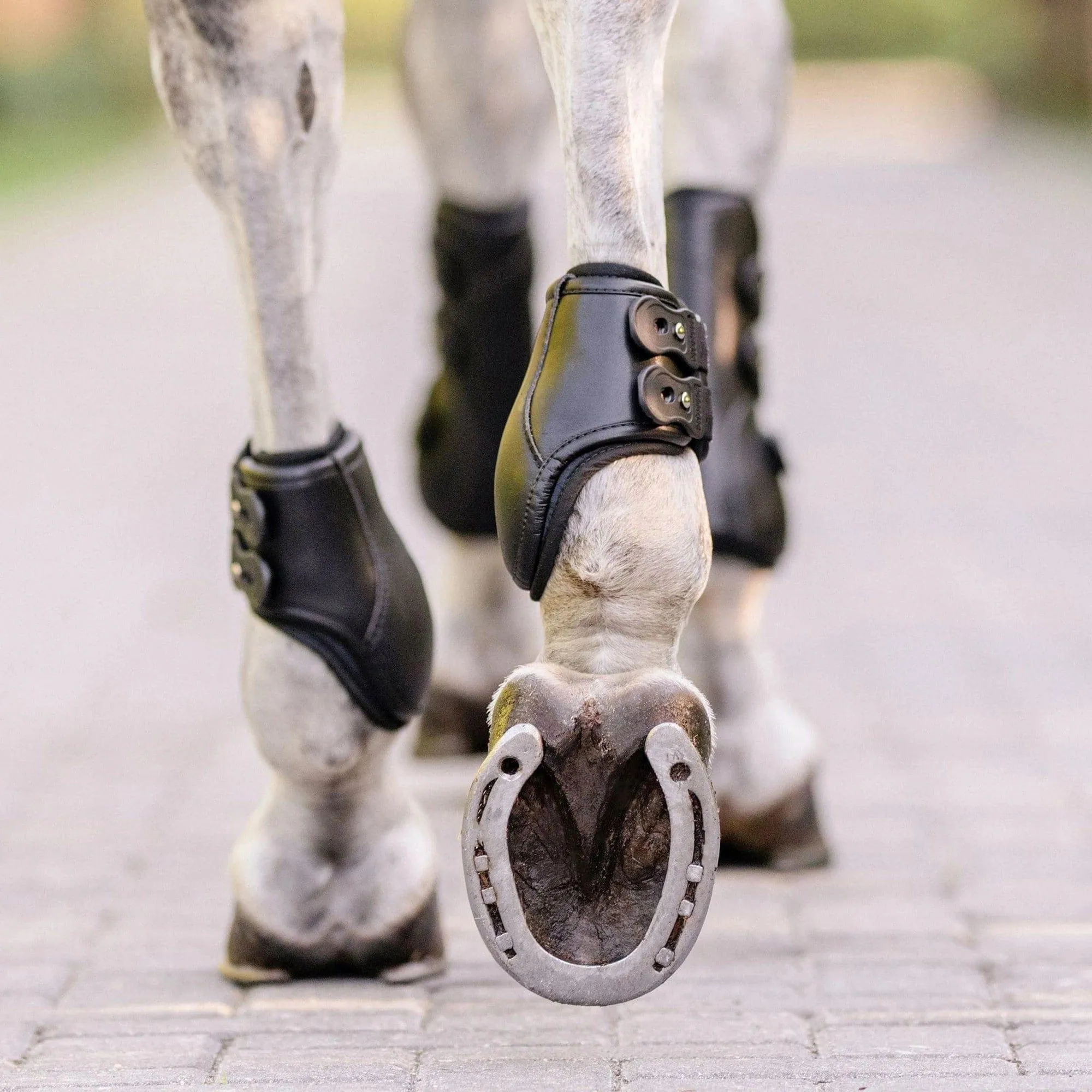 EquiFit Eq-Teq™ Hind Boot