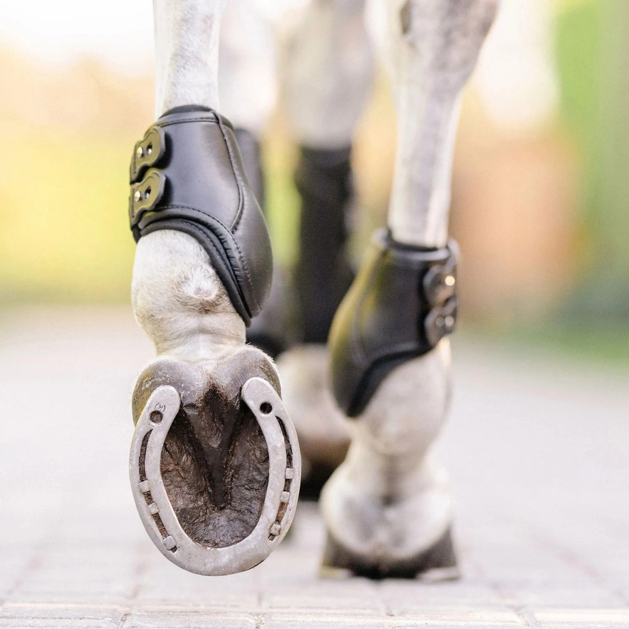 EquiFit Eq-Teq™ Hind Boot