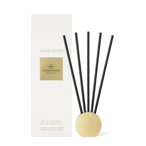 Glasshouse Fragrance -Scent Scene Duo - Lost In Amalfi & Kyoto In Bloom