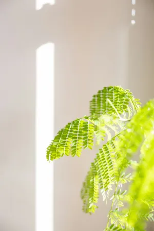 Gorgeous Iron Lamp