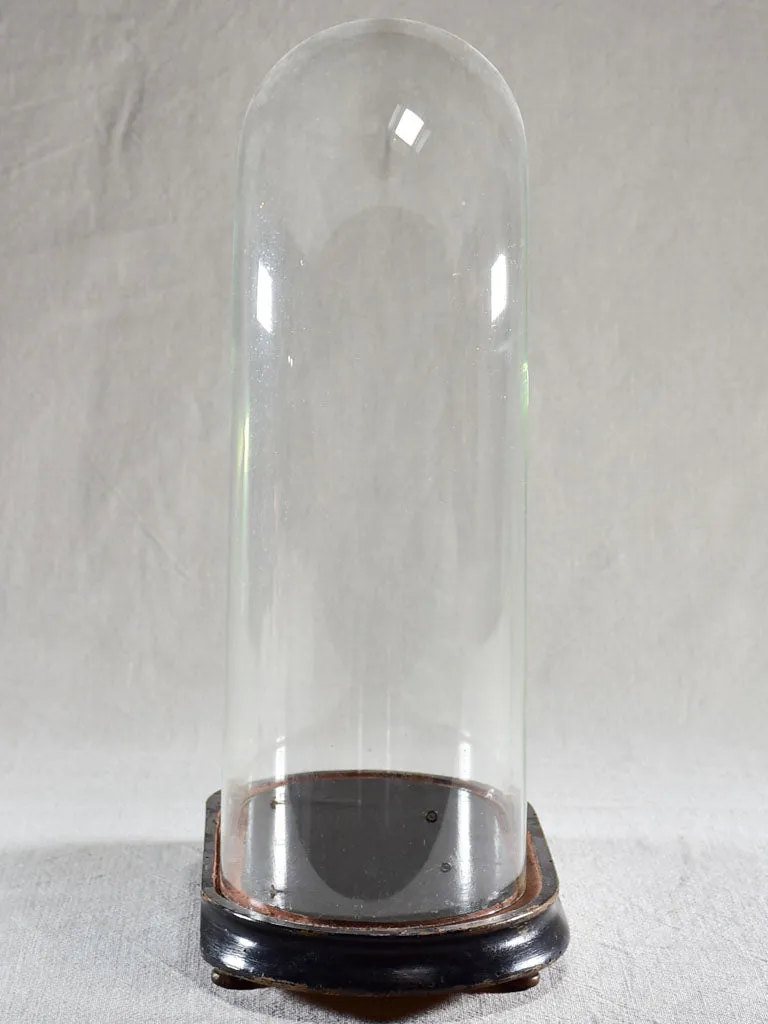 Napoleon III glass dome