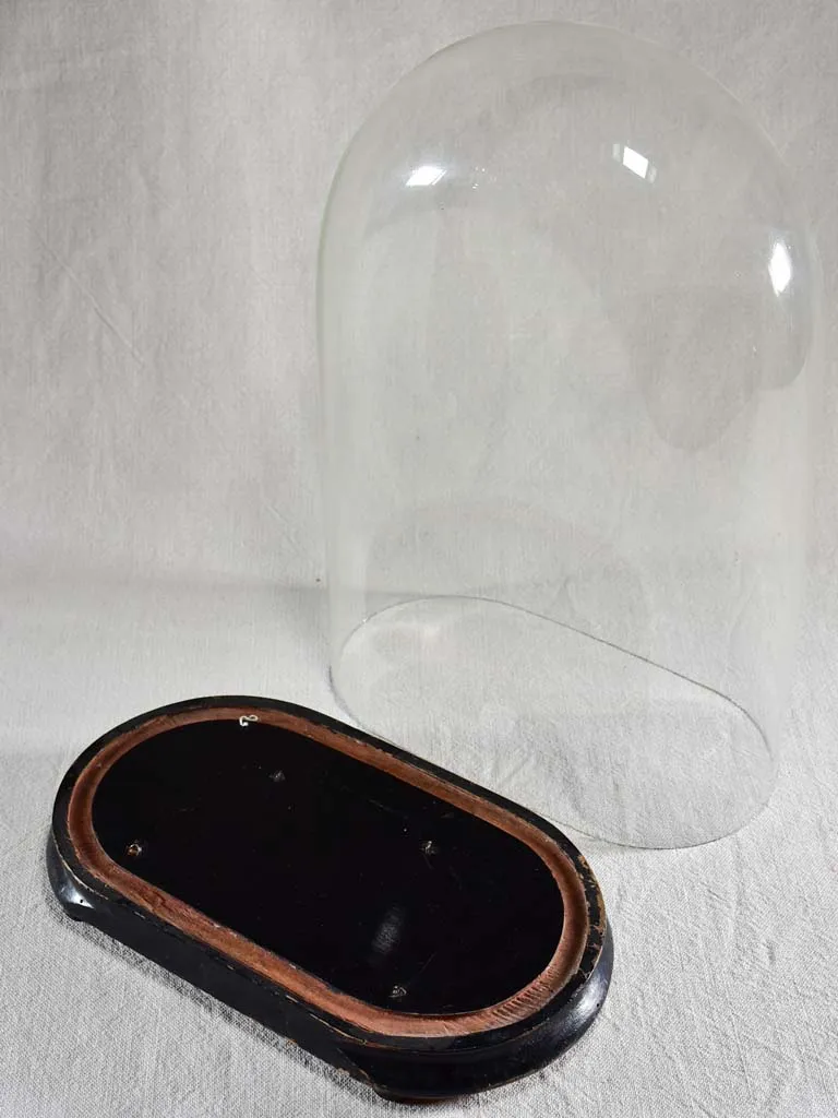 Napoleon III glass dome